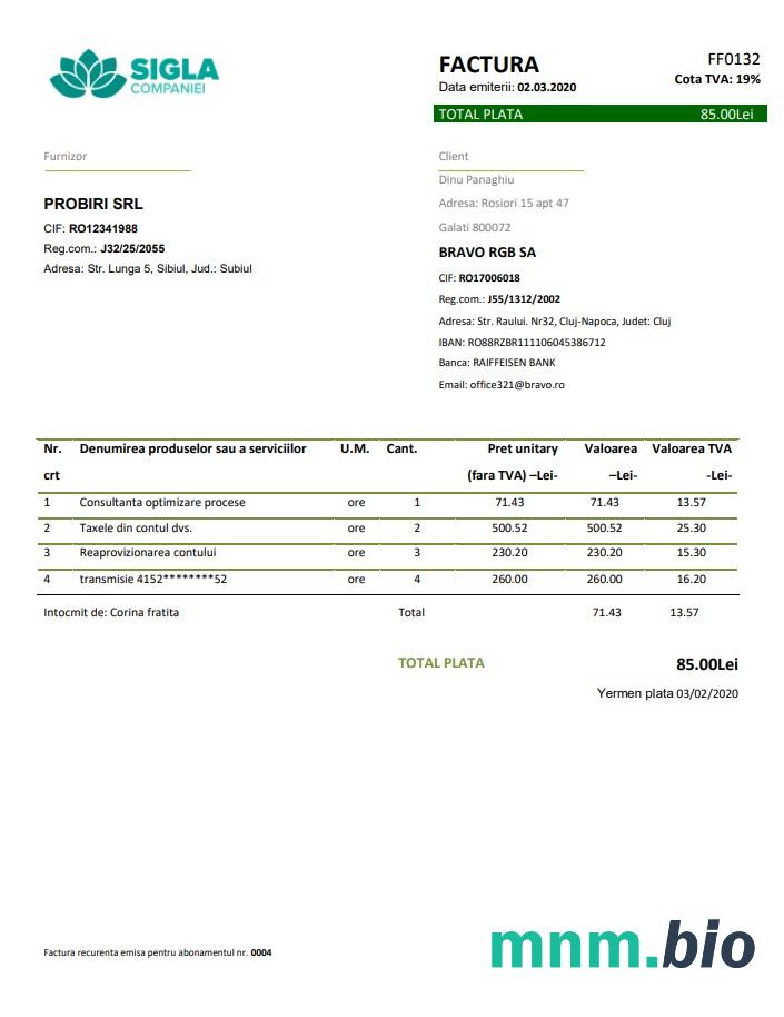 Rumunia Sigla Companiei szablon rachunku za media w formacie Word i PDF